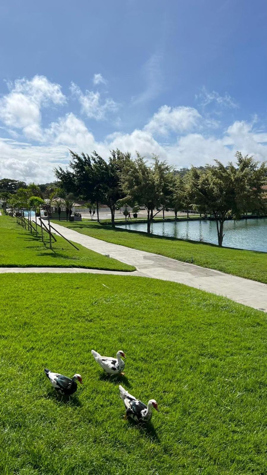 Flat Fabuloso 808 Villa Hipica Gravatá Kültér fotó