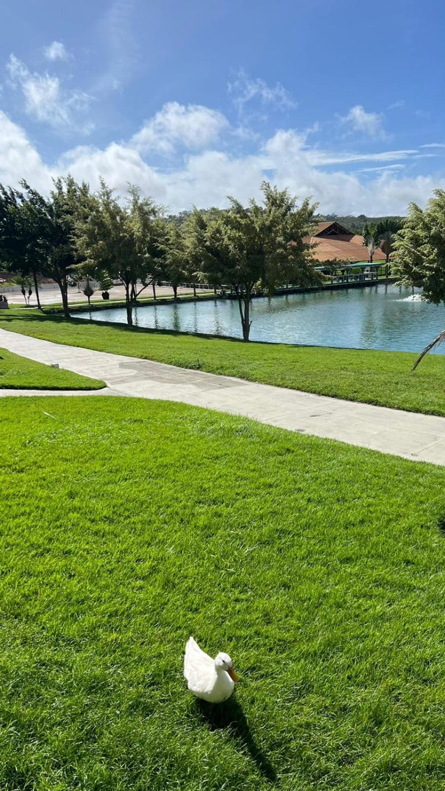 Flat Fabuloso 808 Villa Hipica Gravatá Kültér fotó